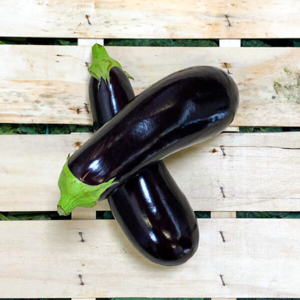 aubergine