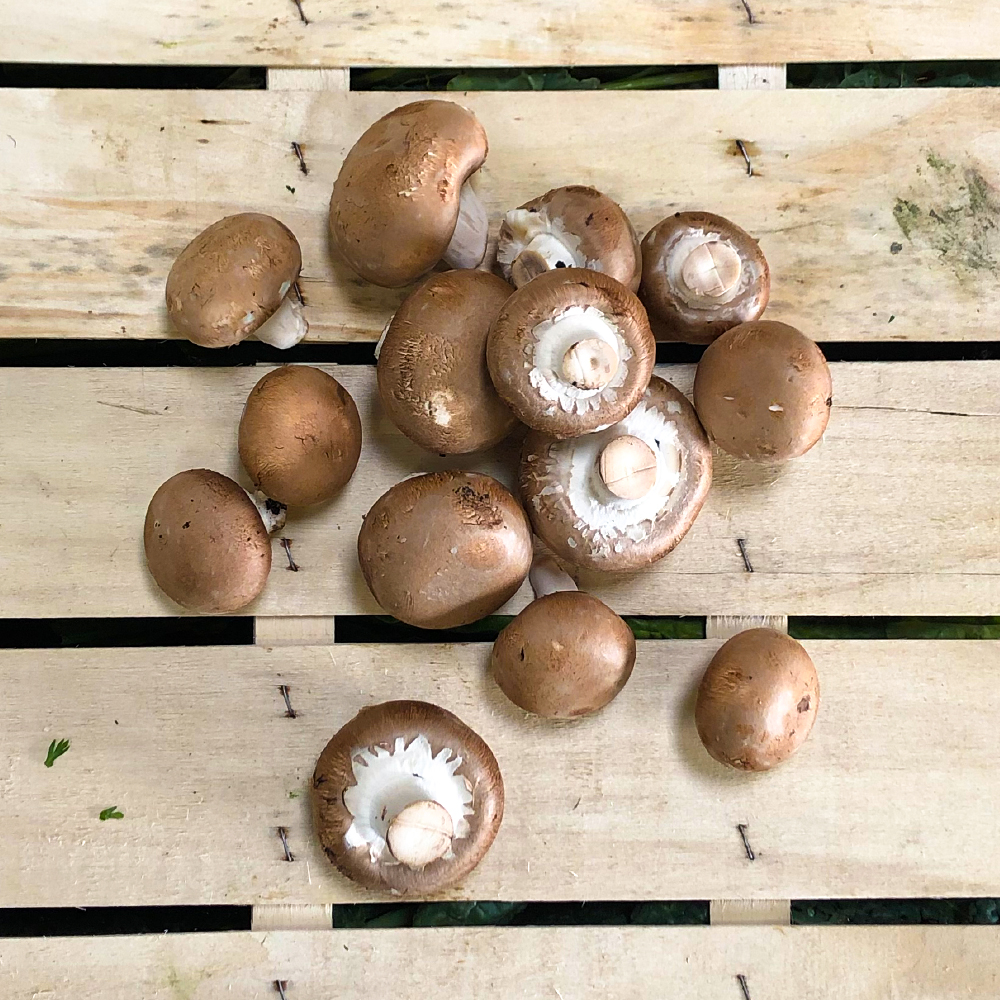 Braune Champignons | die veggies