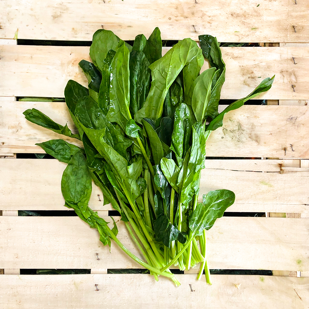 Spinat | die veggies