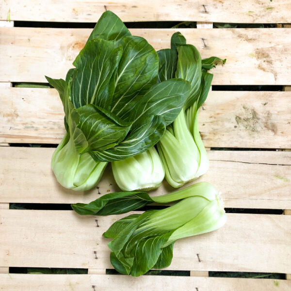 pakchoi