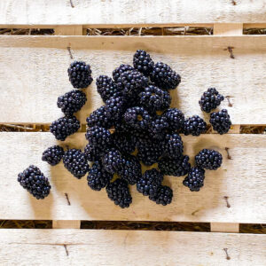 Brombeeren
