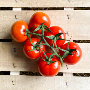 Tomaten