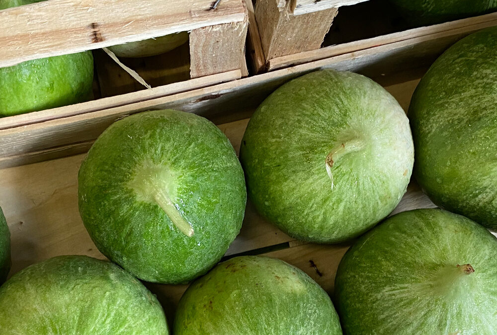 Barattiere – Gurke trifft Melone