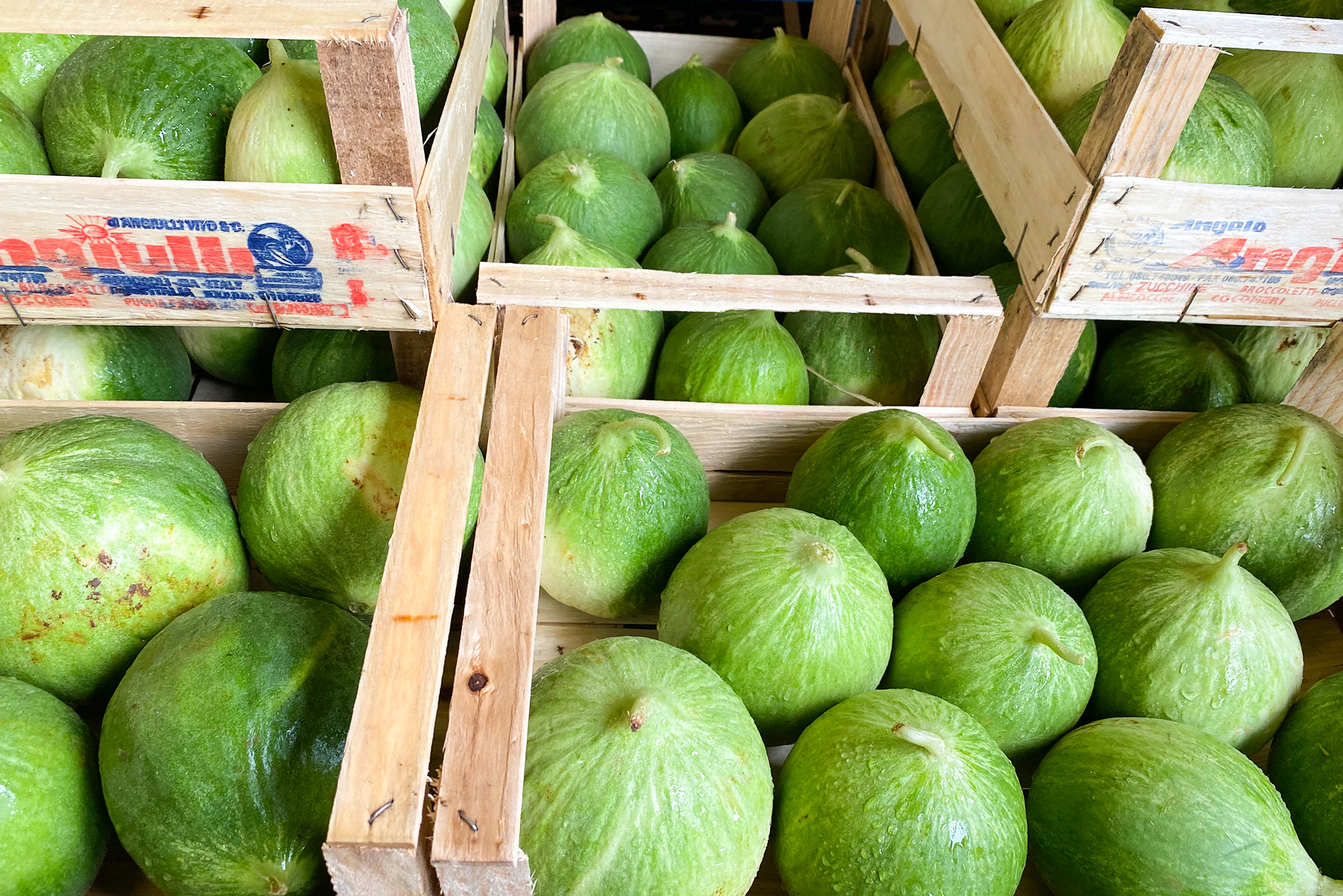 Gurkenmelonen