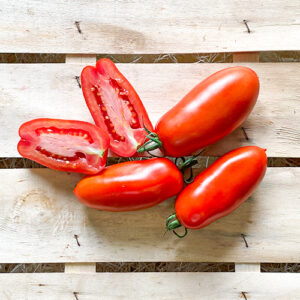 SanMarzano Tomaten