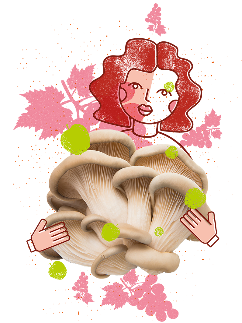 Schwammerl Schwammerl Pilze Veggies