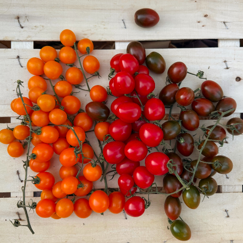 Cherry Tomaten Mix