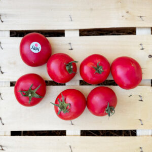 Japi Tomate